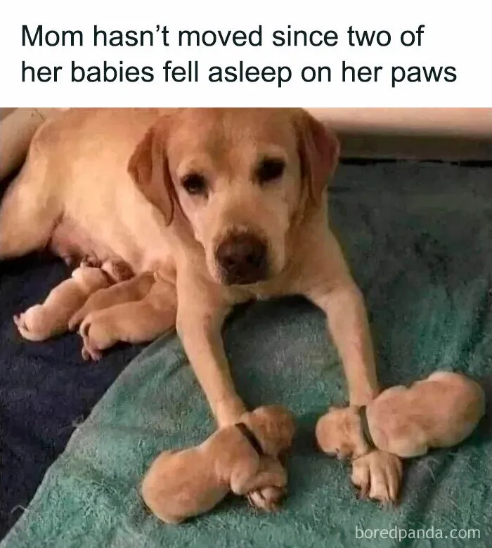 50 Funny And Uplifting Posts That Can Turn Any Frown Upside Down (New Pics)