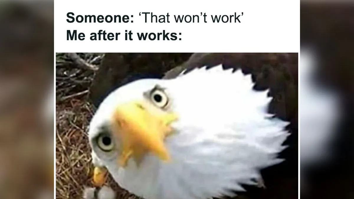 3.6M People Follow This FB Page For Its Funny Memes And These 50 Are Hilariously Weird (New Pics)