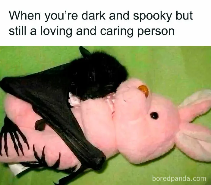 50 Memes That Understand You A Little Too Well (New Pics)
