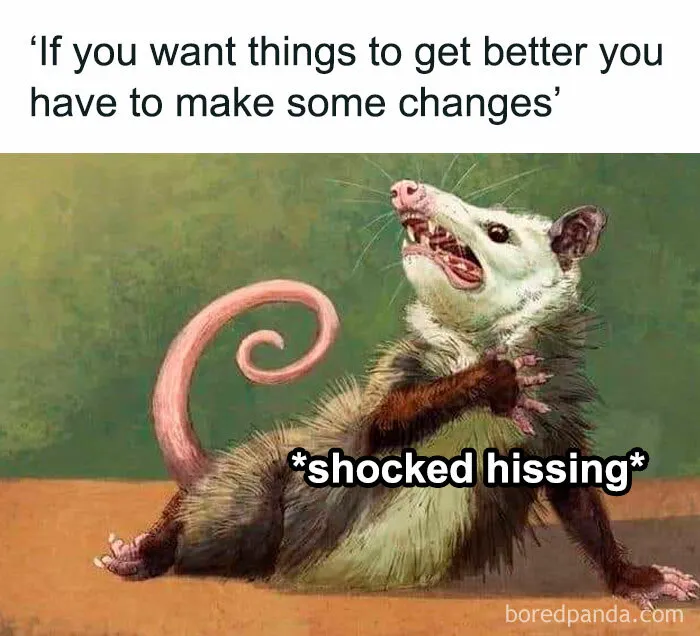 50 Memes That Understand You A Little Too Well (New Pics)