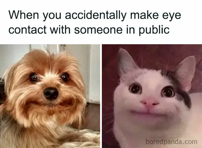 Laugh Out Loud With These 50 Spot-On Memes That Perfectly Sum Up Everyday Life As An Introvert