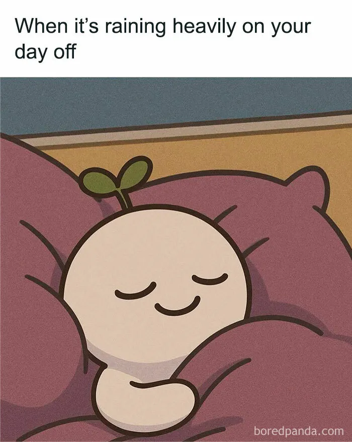 Laugh Out Loud With These 50 Spot-On Memes That Perfectly Sum Up Everyday Life As An Introvert