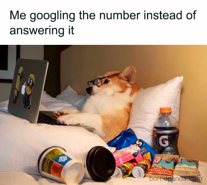 Laugh Out Loud With These 50 Spot-On Memes That Perfectly Sum Up Everyday Life As An Introvert