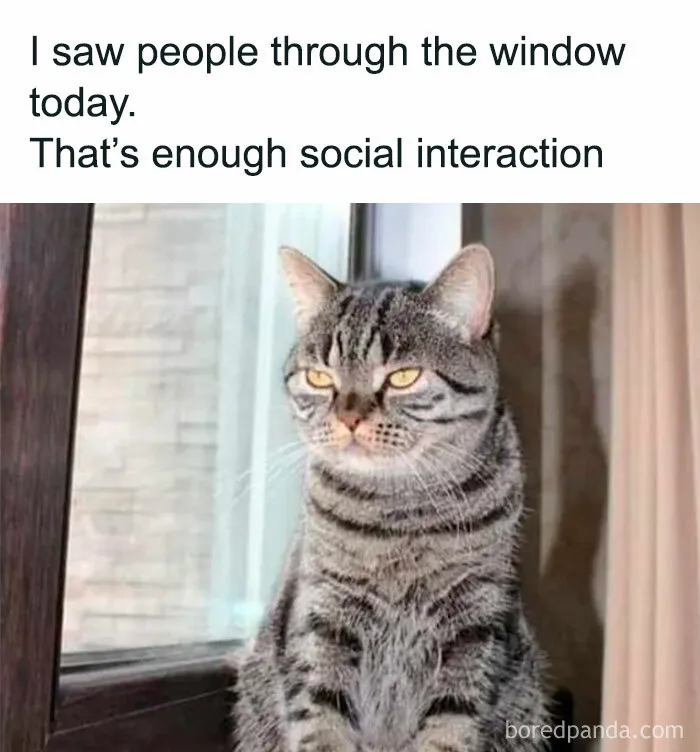 Laugh Out Loud With These 50 Spot-On Memes That Perfectly Sum Up Everyday Life As An Introvert