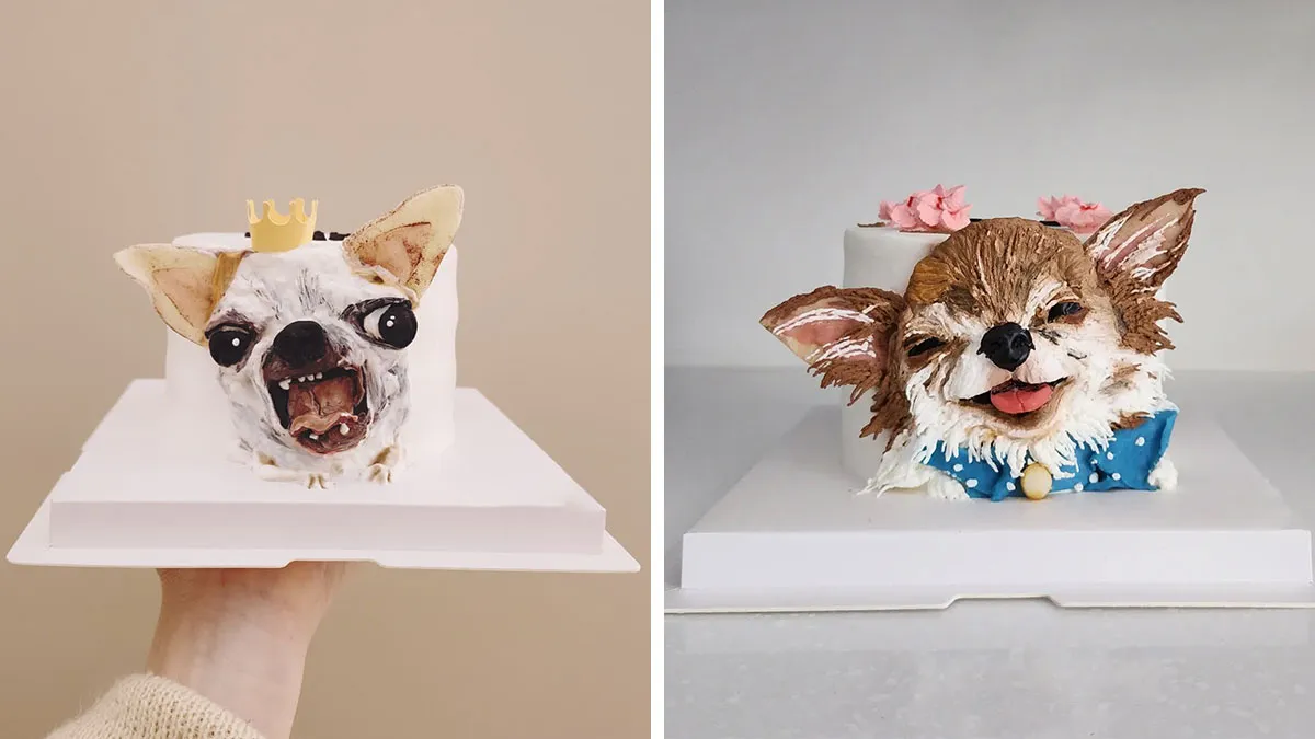 Artist Turns Pets Into Playful Cakes — And Here Are Their 80 Sweetest Creations