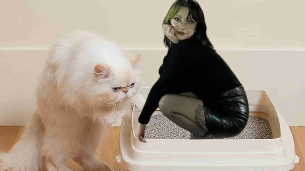 50 People Who Asked For Photo Edits And Received Hilarious Results