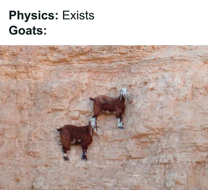 50 Physics Jokes Scientifically Proven To Spark Laughter