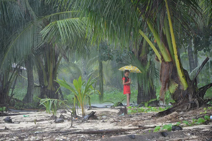 People From Tropical Countries Share The Reality Of Living There, Here Are The 40 Best Posts