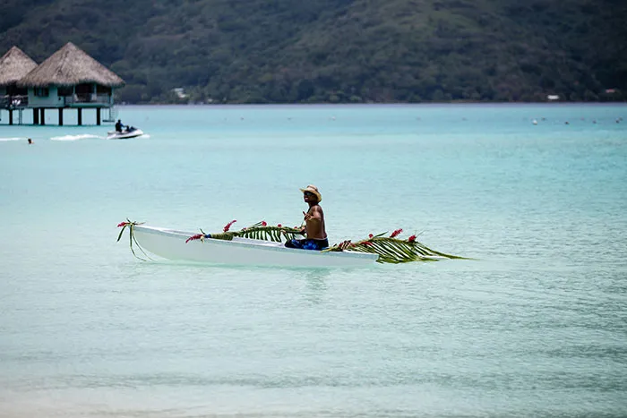 People From Tropical Countries Share The Reality Of Living There, Here Are The 40 Best Posts