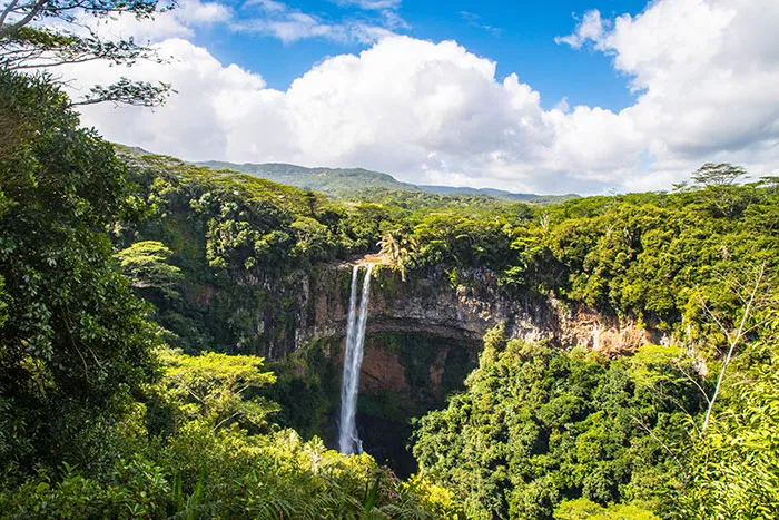 People From Tropical Countries Share The Reality Of Living There, Here Are The 40 Best Posts