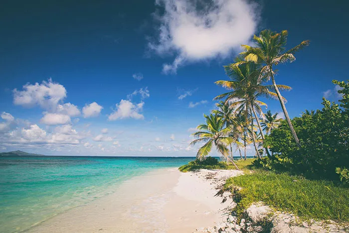 People From Tropical Countries Share The Reality Of Living There, Here Are The 40 Best Posts