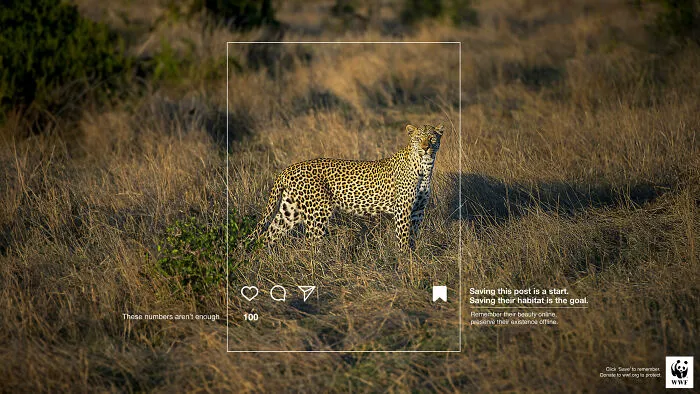 24 Times WWF Used Advertising To Shake Us Awake (New Pics)