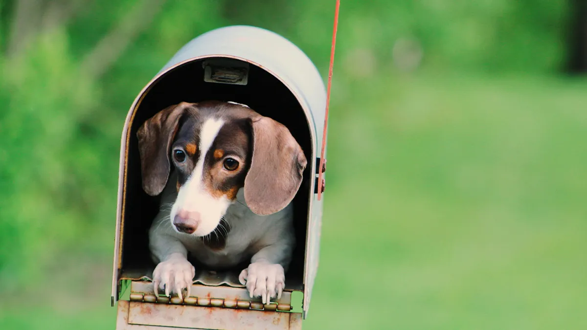 28 Hidden Costs Of Buying A Home Many Don’t Think About