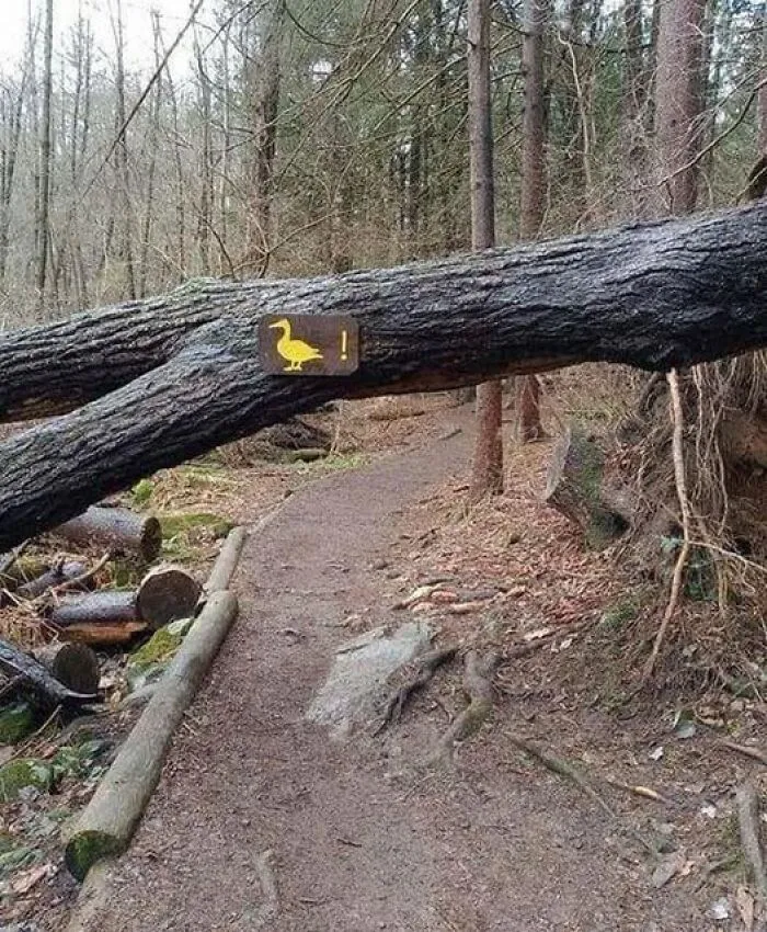 50 Of The Funniest Signs Ever Spotted In The Wild (New Pics)