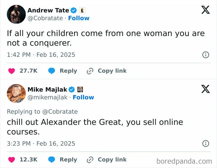 Hilarious-Rare-Insults