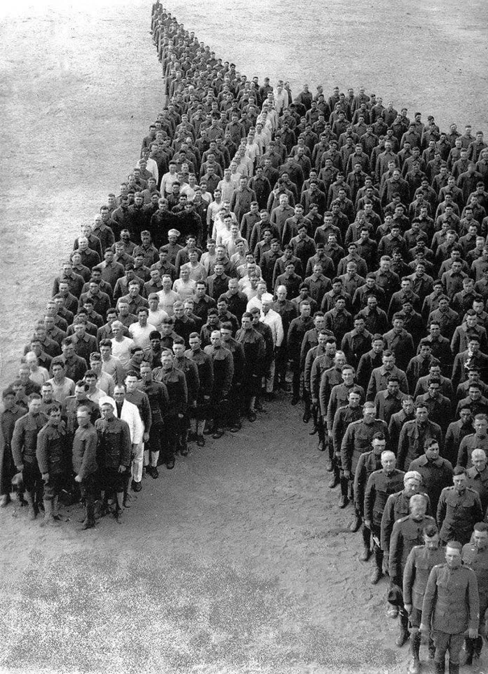 Ww1 Tribute To The Horse Which Played A Major Role In That War And Made Awful Sacrifices