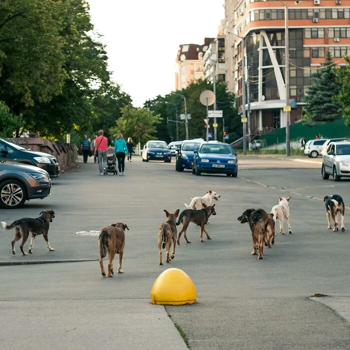 Folks Online Tell About 27 Terrifyingly Real Things Existing Around The Places They Live