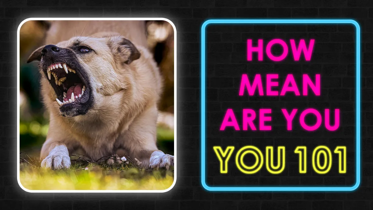 “How Mean Are You?” Check Where You Fall On The Meanness Scale In 22 Questions