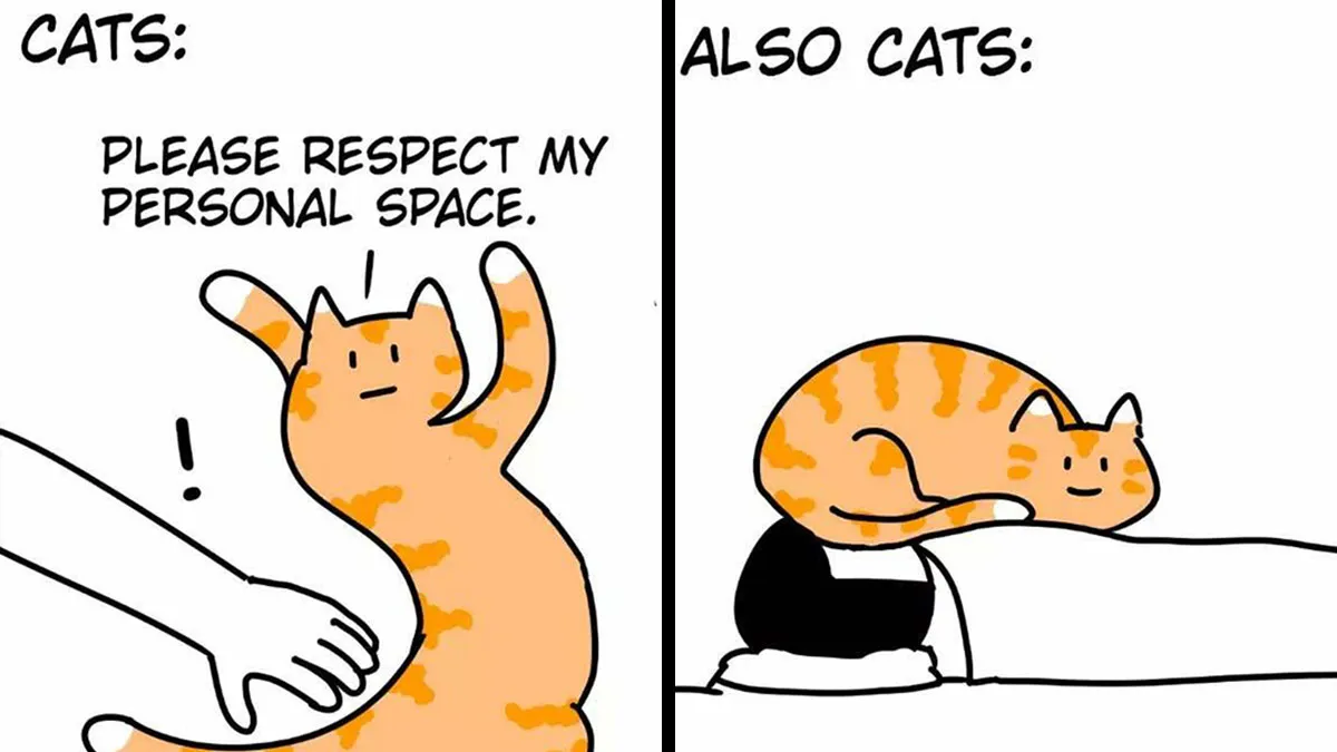 Hilariously Relatable Comics With Absurd Twists, By This Artist (19 New Pics)
