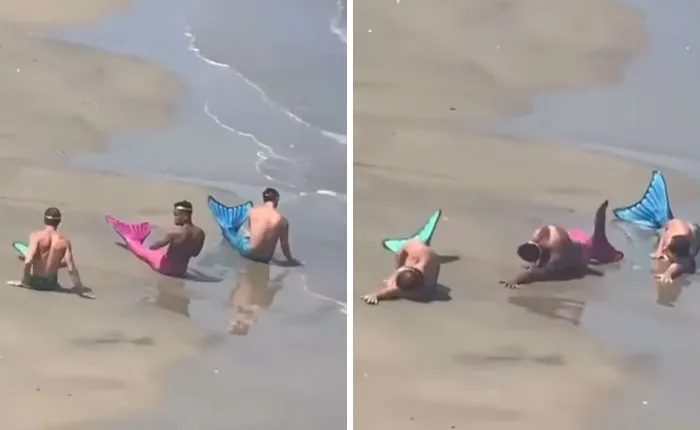 Los sirenitos