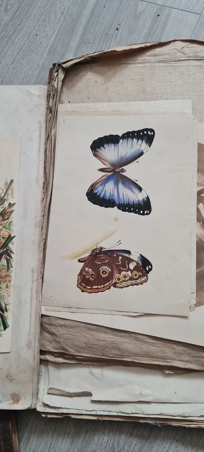 50 Times People Discovered Surprising Things Left Inside Their Homes By Previous Owners