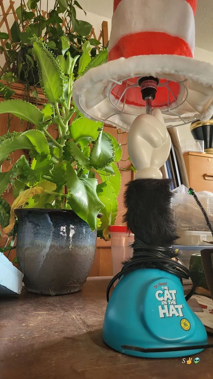 Unique Cat in the Hat lamp and green potted plant showcasing unexpected hidden home decor treasures.