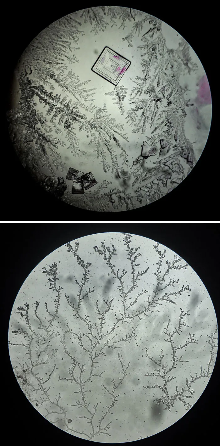 Some Pictures Of Salt Under Microscope