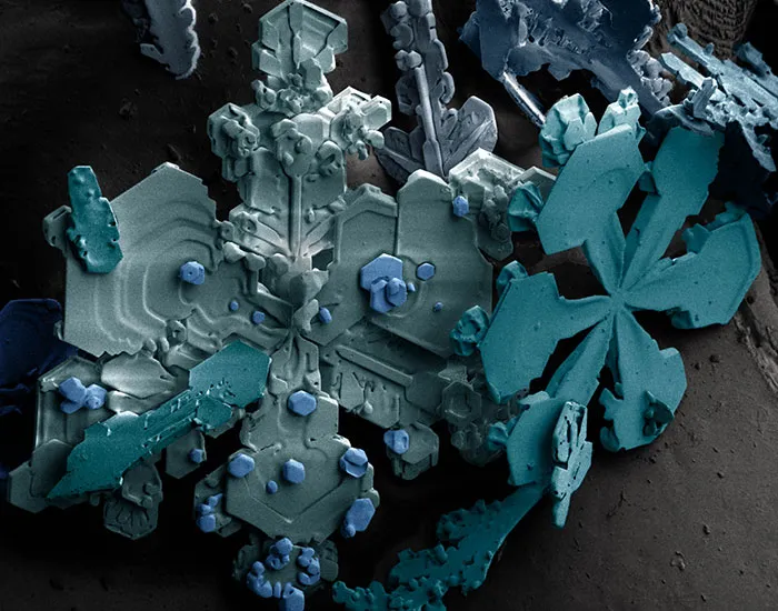 Snow Flakes Highly Magnified By A Low-Temperature Scanning Electron Microscope (SEM)