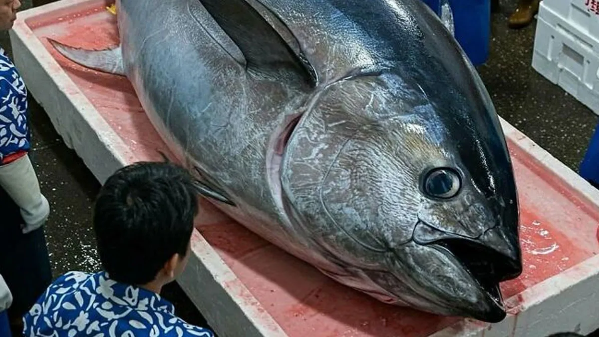 “Random Stuff I Think Is Interesting”: 50 Fascinating Images And Facts From This Instagram Page