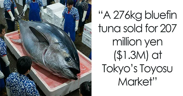 “Random Stuff I Think Is Interesting”: 50 Fascinating Images And Facts From This Instagram Page