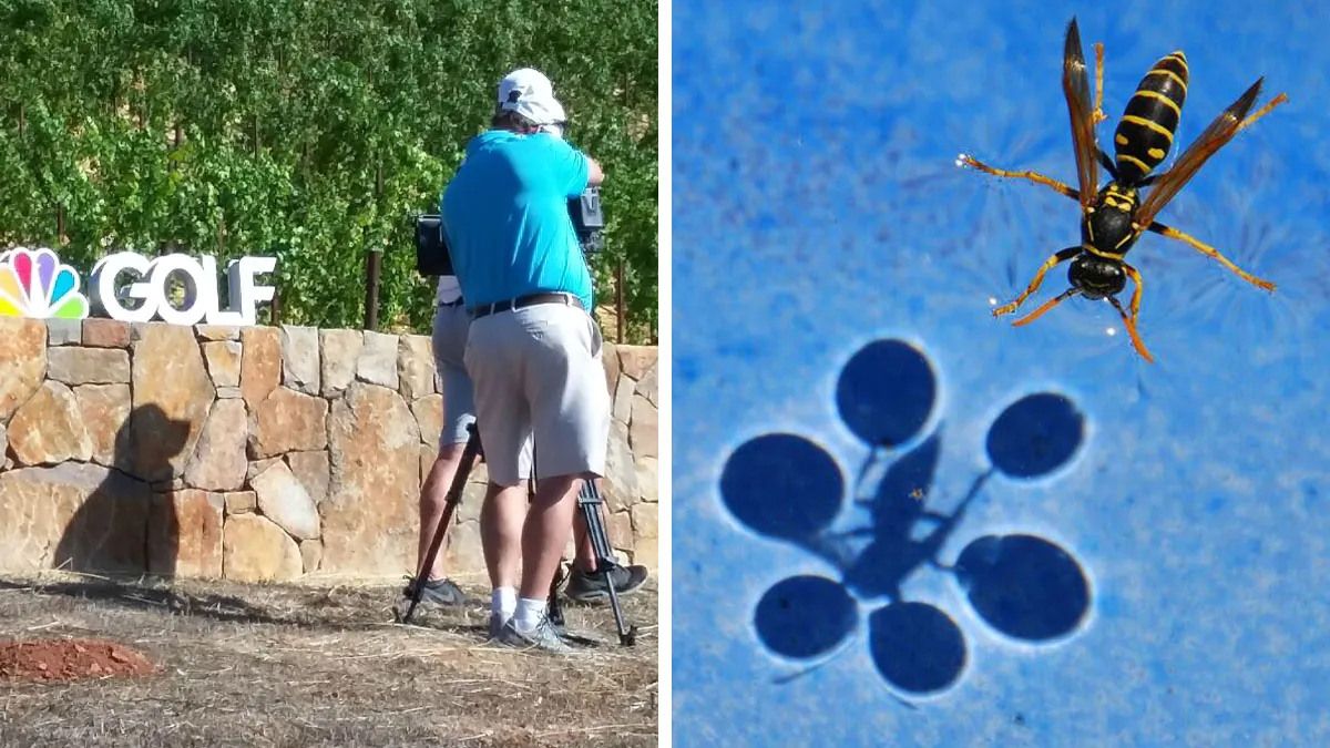 50 Times People Spotted Shadows That Were Too Surprising To Not Take A Picture Of