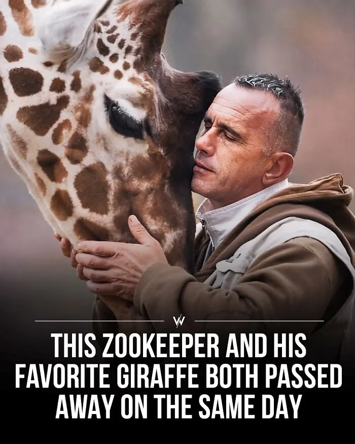45 Unbelievably Interesting Stories And Facts To Show You A Different Side Of Reality