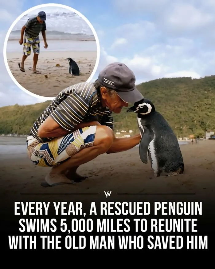 45 Unbelievably Interesting Stories And Facts To Show You A Different Side Of Reality