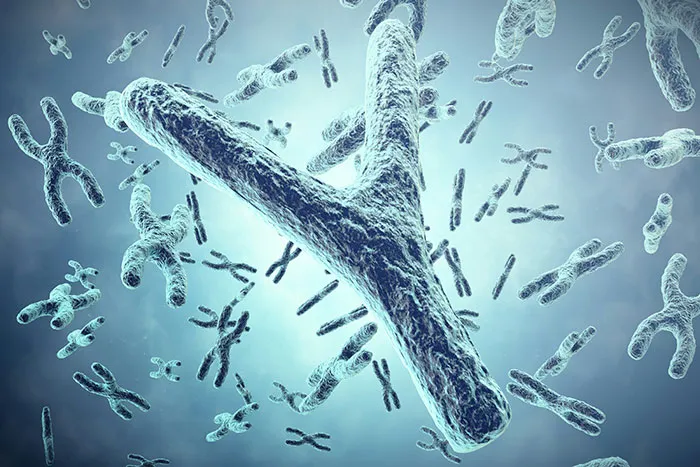 Microscopic view of chromosomes representing facts to keep the brain active and healthy for cognitive wellness.