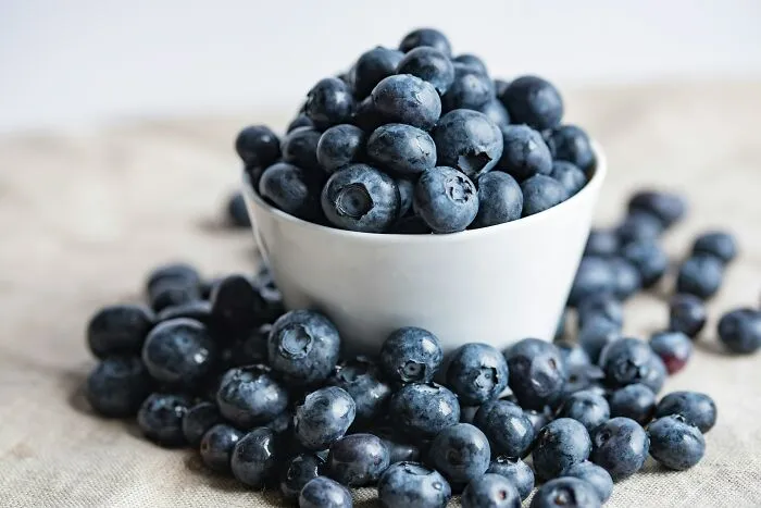 Close-up of fresh blueberries in and around a white bowl, illustrating historical facts about Da Vinci and wedding planning.