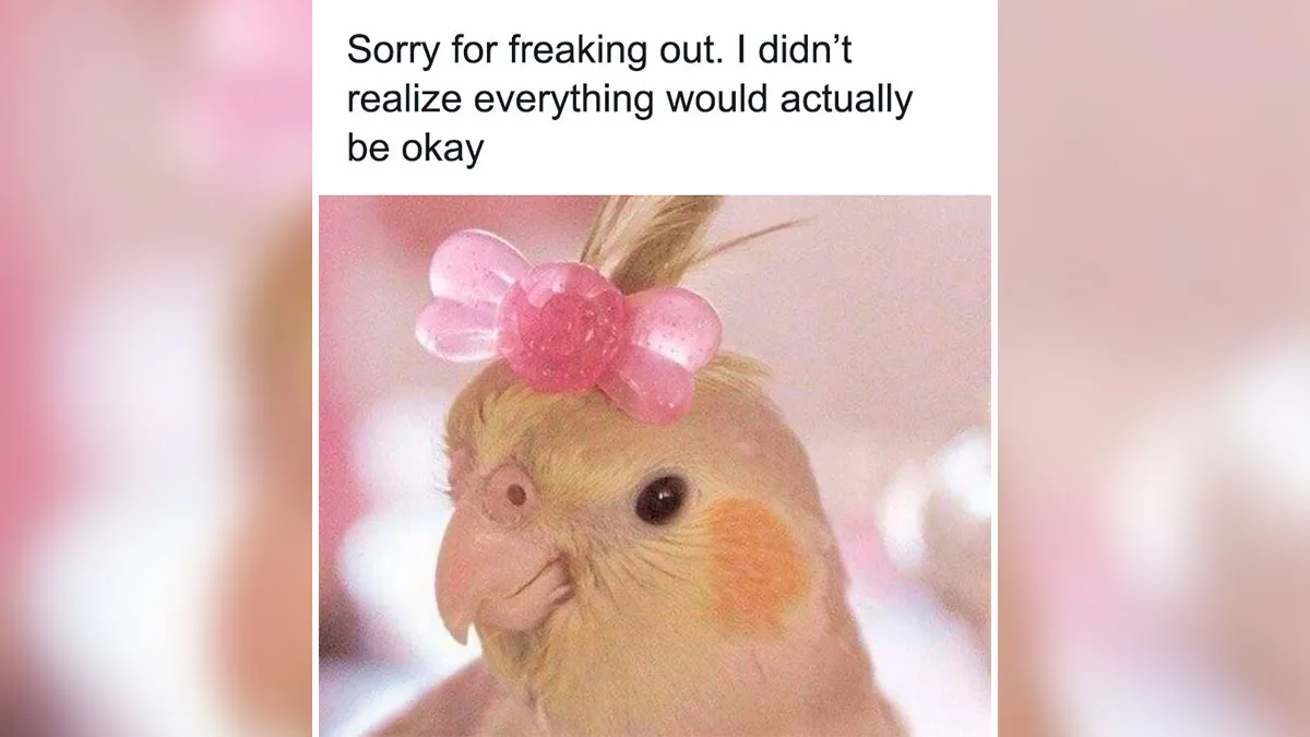 40 Memes From This Facebook Group That Might Make You Say ‘So True’ (New Pics)