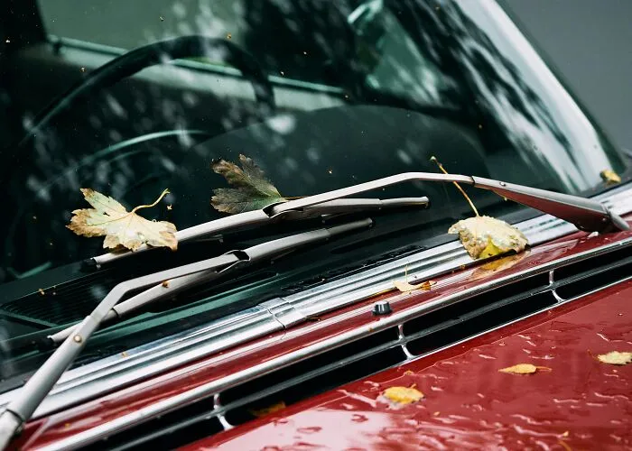 50 Everyday Facts That People Realized Not Everyone Knows