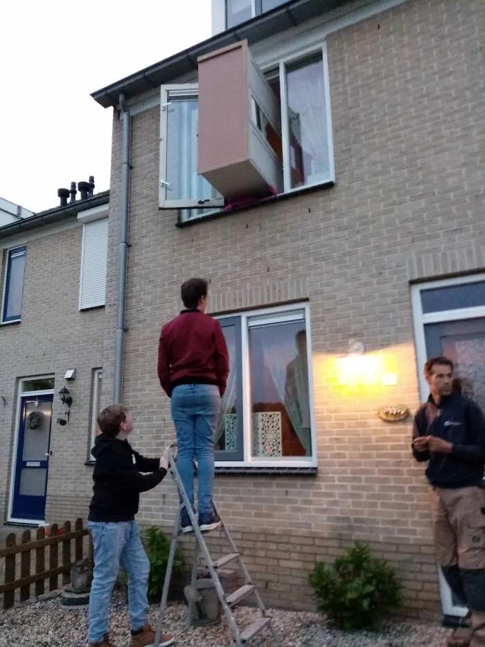 Hombres ayudando a subir un mueble por la ventana, ilustrando diferencias en longevidad entre mujeres y hombres.