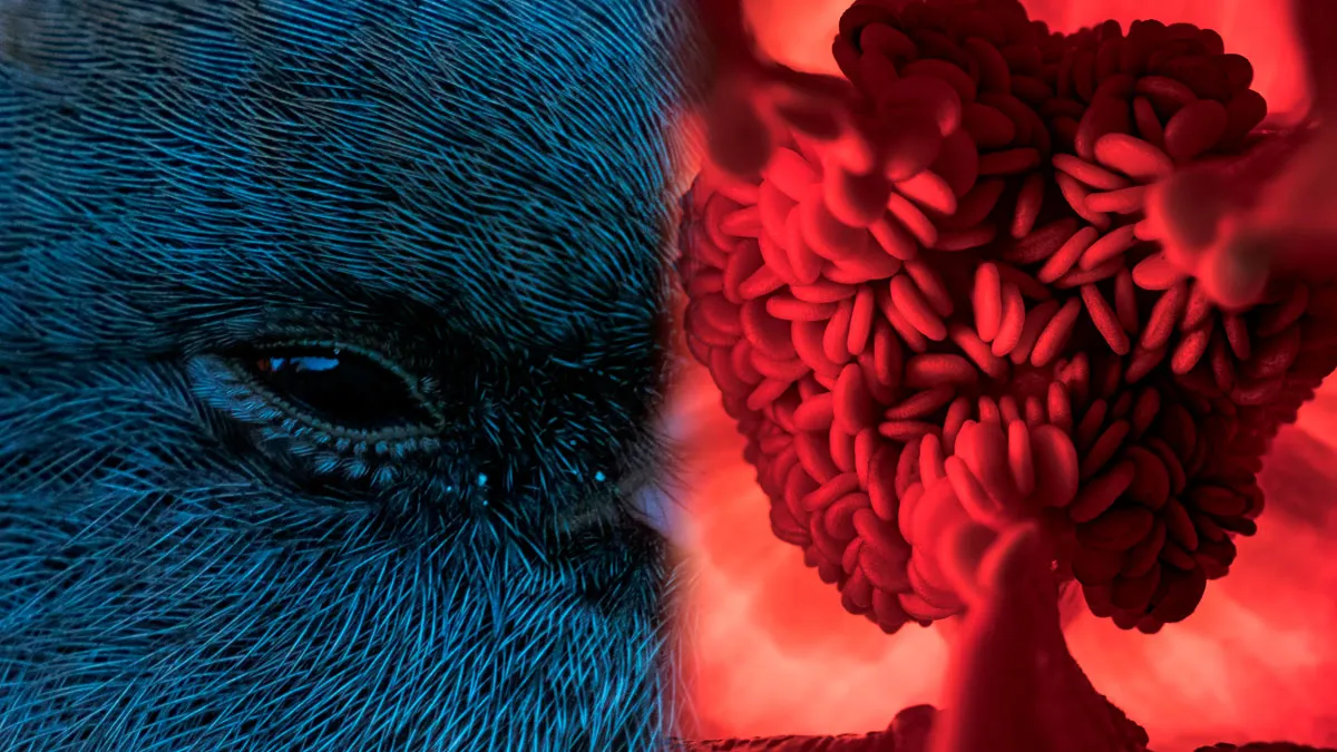 Reality Is Stranger Than Fiction: 50 Of The Most Unreal Photographs (New Pics)