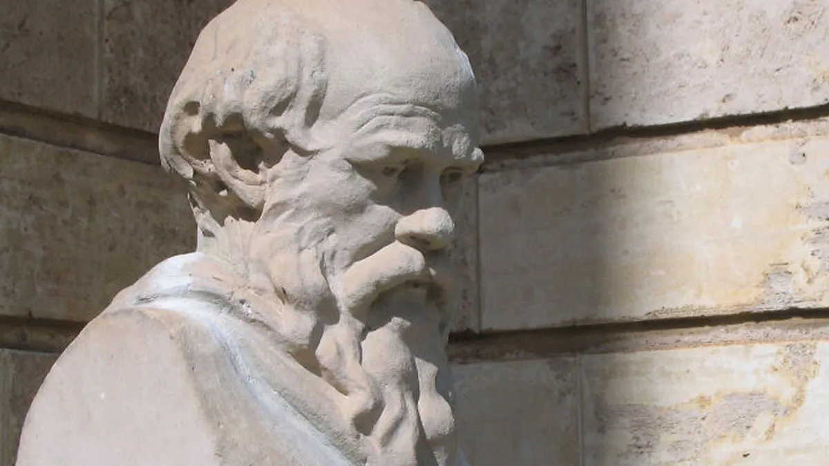26 Famous Paradoxes That Might Make You Say “Wait. What?!”