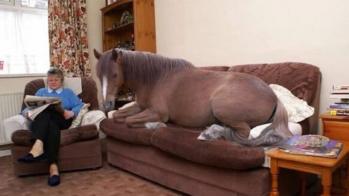 50 ‘Cursed Images’ That Are Wrong On Every Level (New Pics)