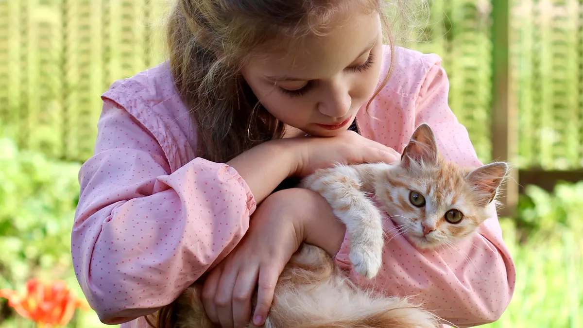 “Cats Are Staying”: Woman Refuses To Rehome Cats Because Of Ex’s New Wife’s Allergies
