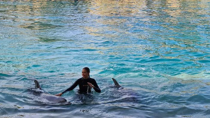 50 Disappointed Tourists Share Travel Destinations From Around The World That Aren’t Worth It