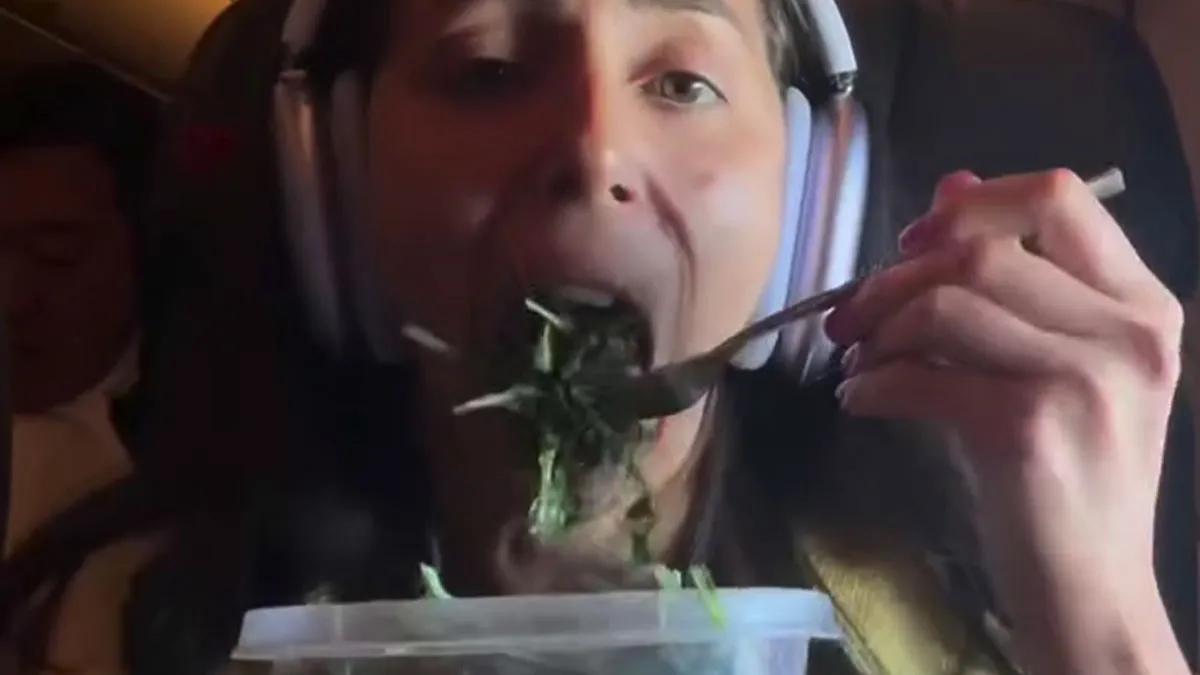 Plane Passenger Makes Dinner Mid-Flight, Tries To Defend Herself After Being Berated Online