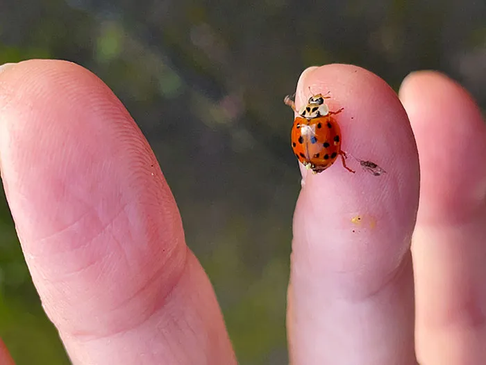 40 People Who Experienced Psychosis Share The Most Terrifying Things They Saw And Felt