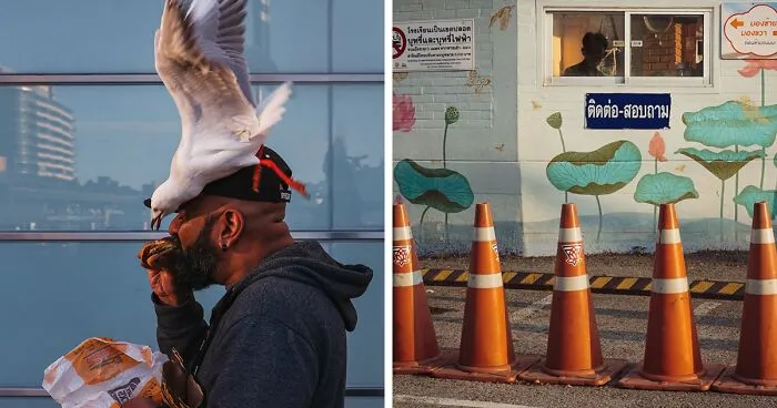 46 Candid Street Photos By Alex McClintock That Tell Stories Without Words