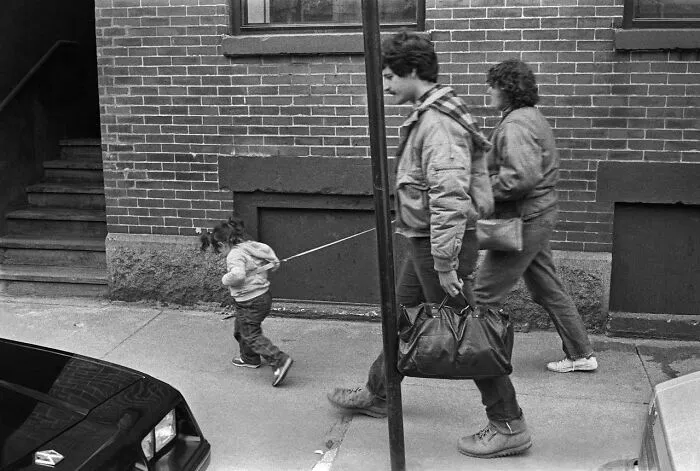 Leash the kid, not the chaos