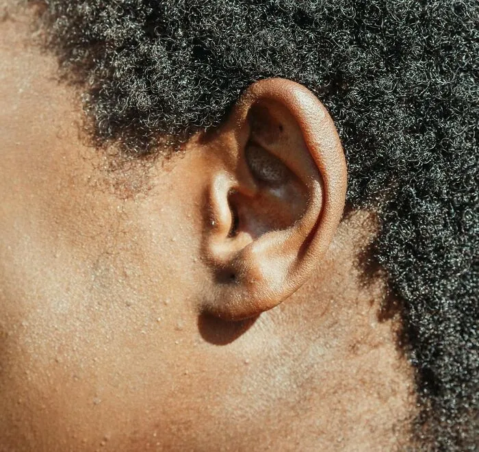 Close-up of an ear with tightly curled hair showcasing unique features linked to good or bad genes.