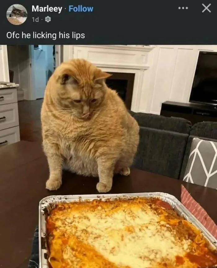 50 Funny And Slightly Confusing Pics, As Shared On This Popular Facebook Page (New Pics)