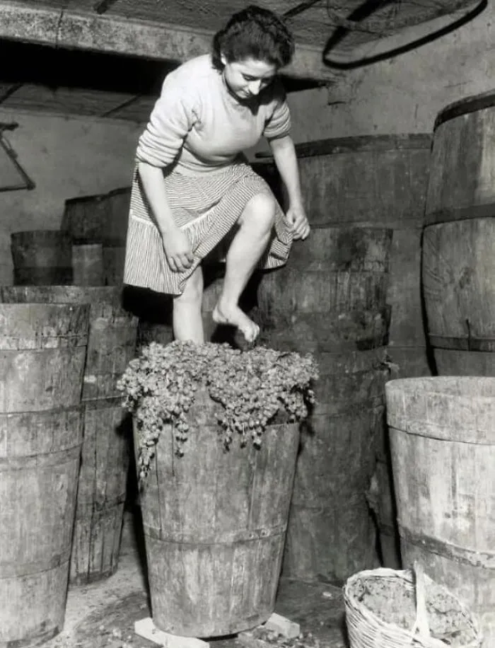 Mujer pisando uvas en Frascati, Italia (1957)